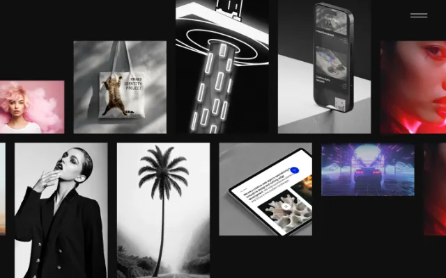 Project Preview Image