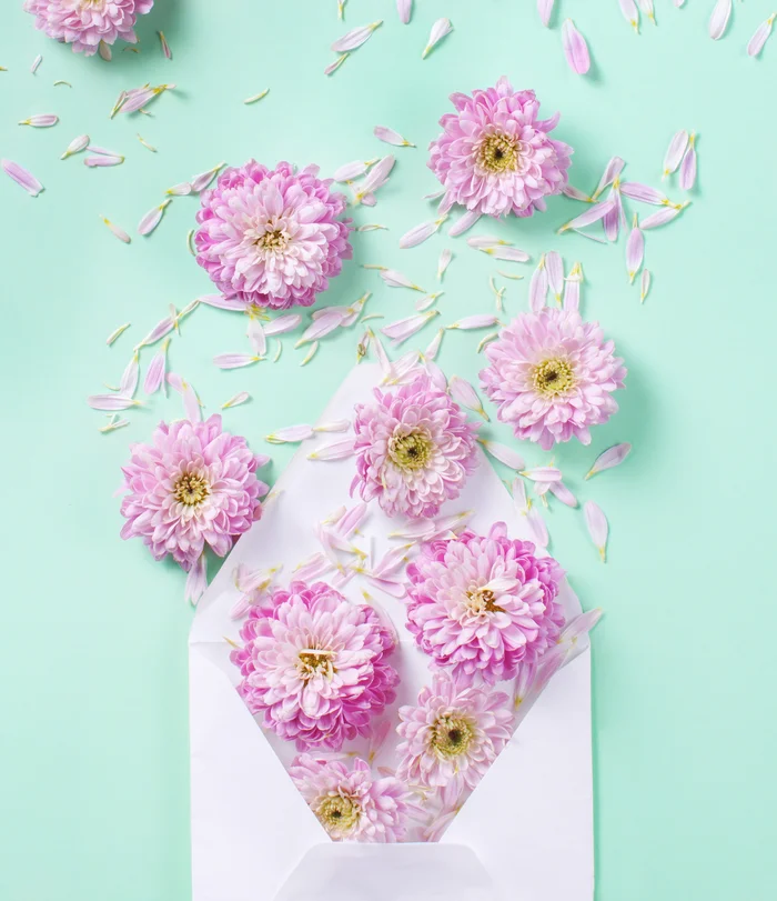 Apache Studio - Email Marketing